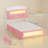 Upholstered Platform Bed Frame With 2 Storage Drawers, Velvet Princess Bed With Led Lights And Charging Station, No Box Spring Needed, Pink-1849847742