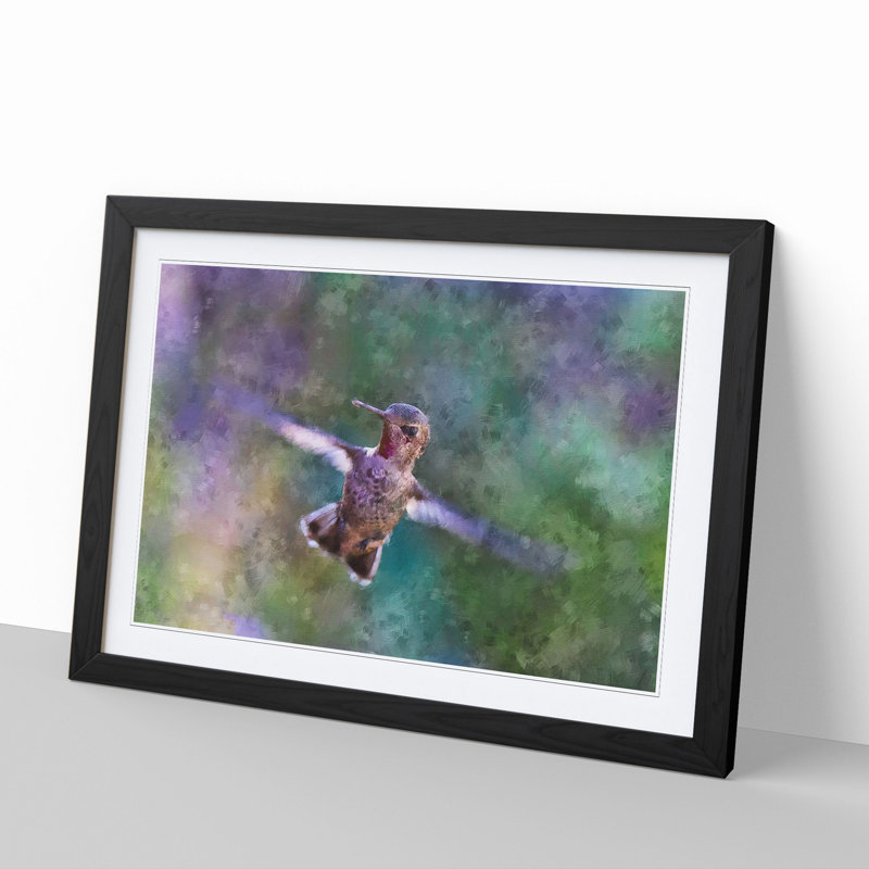 Hummingbird Vol.2 - Picture Frame Graphic Art, Black Framed, 36cm H x 48cm W x 2cm D