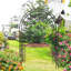 Métal arche de jardin arche de rose pour l'extérieur