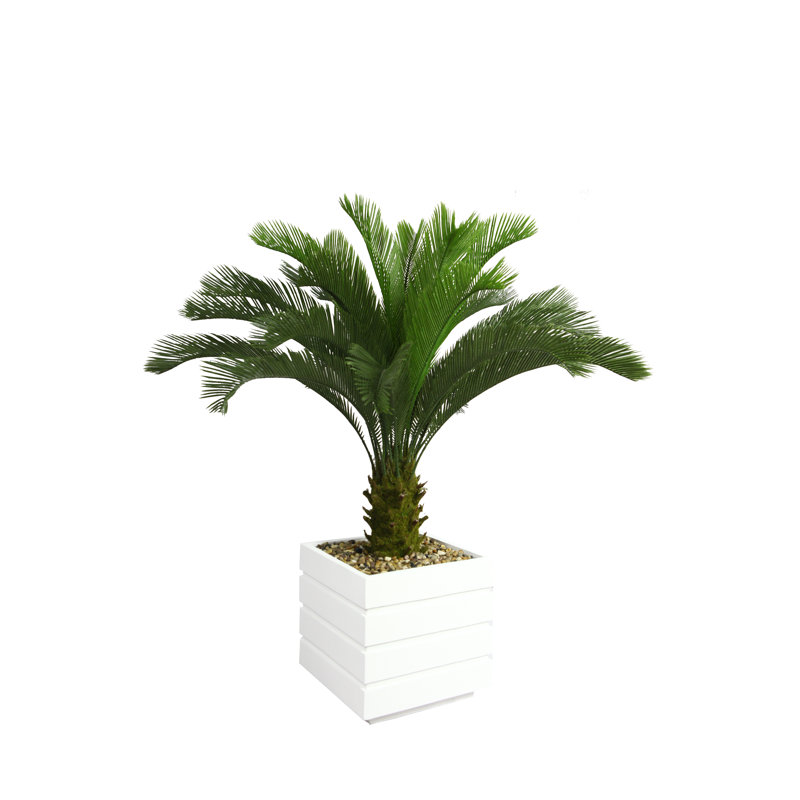 Panama 54" Artificial Palm Tree in Planter, White