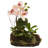 Orchid Island Silk Arrangement Set of 2