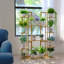 Burkeville Plant Stand