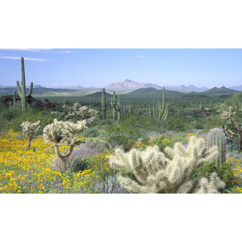 Landscape & Nature Non-Wall Damaging Window Decal, 60" H x 100" W x 0.02" D
