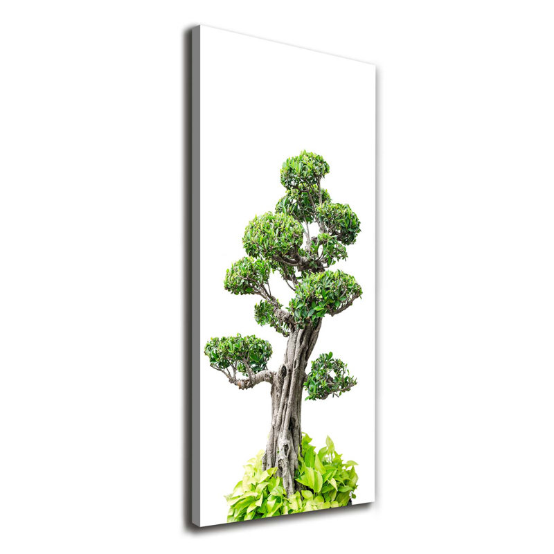 Bonsai Tree - Wrapped Canvas Print