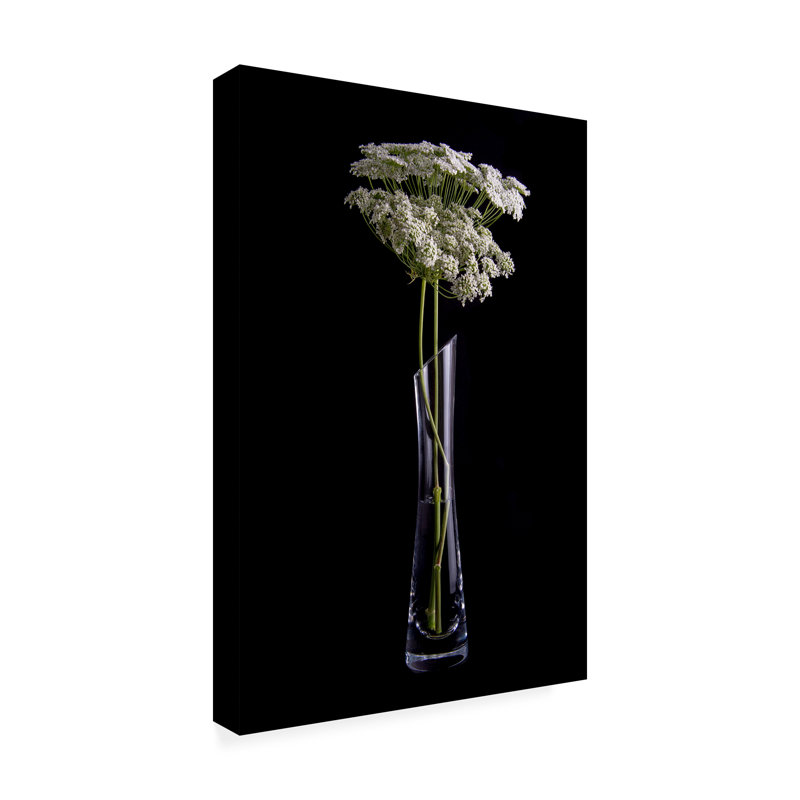 Art sur toile, Patricia Gomez Flores, H 24 po x l 16 po