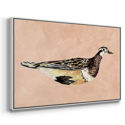 " Feathered Friend Iv "