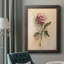 Painterly Rose Study II, toile encadrée de qualité supérieure - prête à être accrochée-656544467