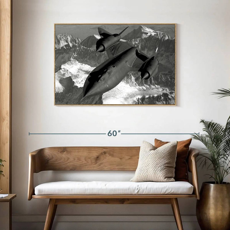 SR-71 merle, Cadre flottant en bois naturel, 43 po x 29 po