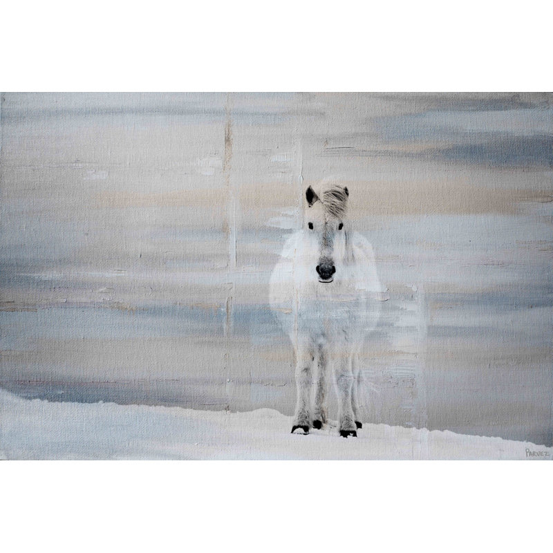 Parvez Taj - Wrapped Canvas Print, 61cm H x 91cm W
