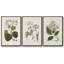 Forêt arctique I 3 pièces-97758022-97758028