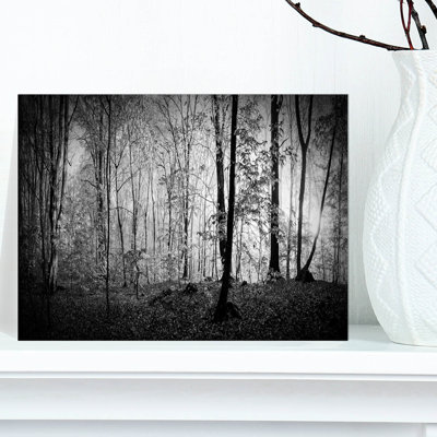 «Beautiful Forest Morning Panorama», reproduction