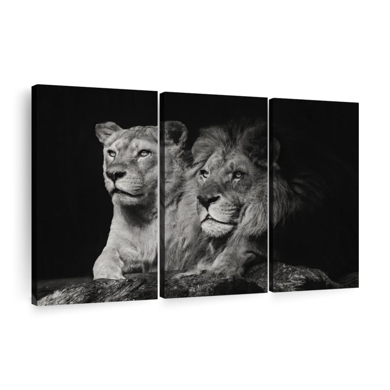 " Lion And Lioness Mates " 3 - Pieces, 48" H x 74" W x 1.25" D
