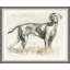 Gus Framed Print