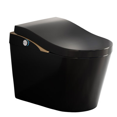 Tankless Modern Smart Toilet With Bidet, Auto Flush, Auto Open/Close,Heated Seat, Warm Water and Dry, Foam Shield Function , Matte Black