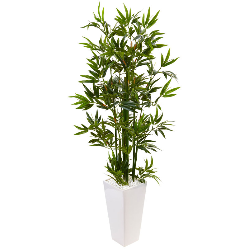 Bamboo Tree in White Tower Planter