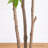 8ft. Artificial Sumac Tree