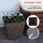 Pot Planter-979810679