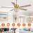 Emille 52'' Ceiling Fan with Light Kit