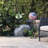 Biggleswade Weather Resistant Glass Abstract Gazing Ball