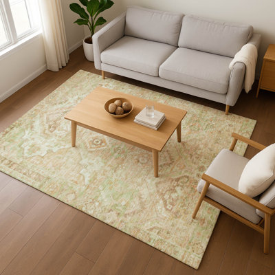 Tapis de qualité supérieure lavable à la machine Varasteh AMF1664 Global