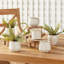 Jardinières en pot-2026539243