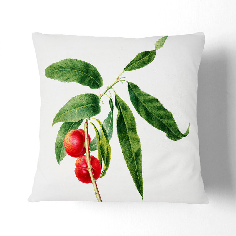 Apricots by Giorgio Gallesio Cushion with Filling, Stone, 55cm H x 55cm W x 20cm D