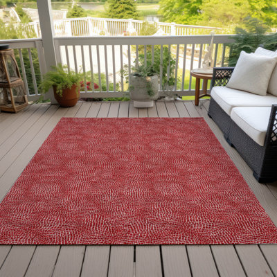 Machine Washable Indoor/Outdoor Chayden ACN1057 Rug