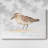 Pretty Piper II-Gallery Wrapped Canvas-589107557