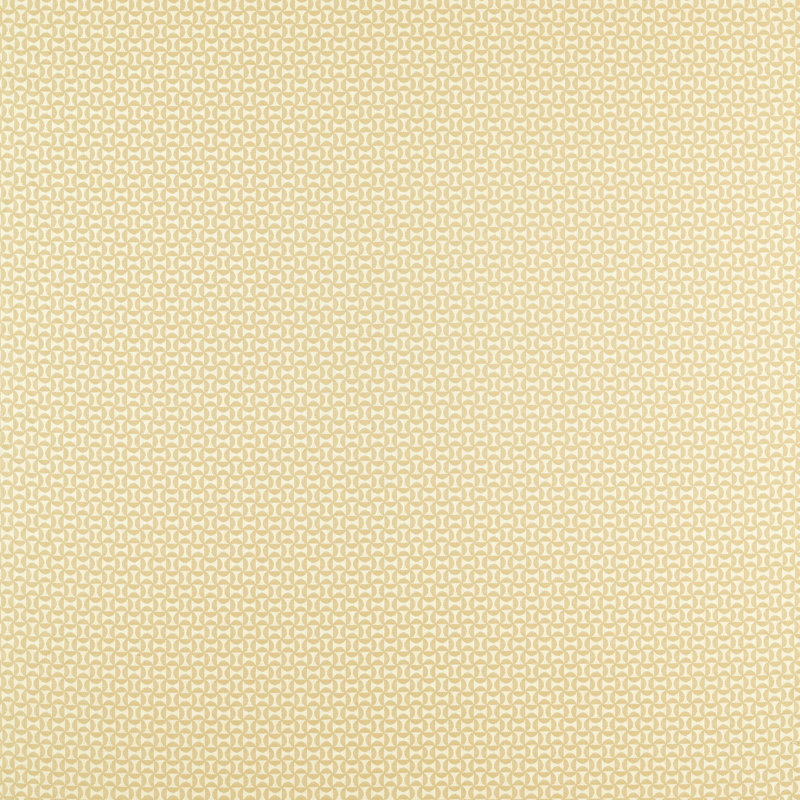 Forma, Raffia
