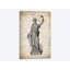 « u.s. constitution », impression sur toile-34983661-72436031-72436043