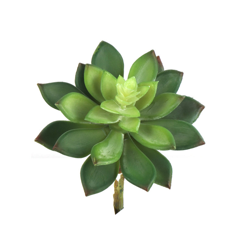 Ensemble de 6 plantes vertes succulentes artificielles de 5,5 pouces, plante artificielle pour plancher et décoration de table