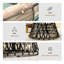 Outdoor Lounge Chair with Cushions