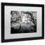 Cosey "White Foliage" par Philippe Hugonnard, reproduction de photo encadrée-19651804-19651805