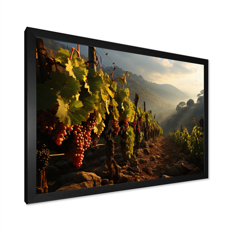 «Vineyard Misty Meadows Cellars I», reproduction sur toile, H 12 po x l 20 po x P 1 po, Cadre photo noir simple