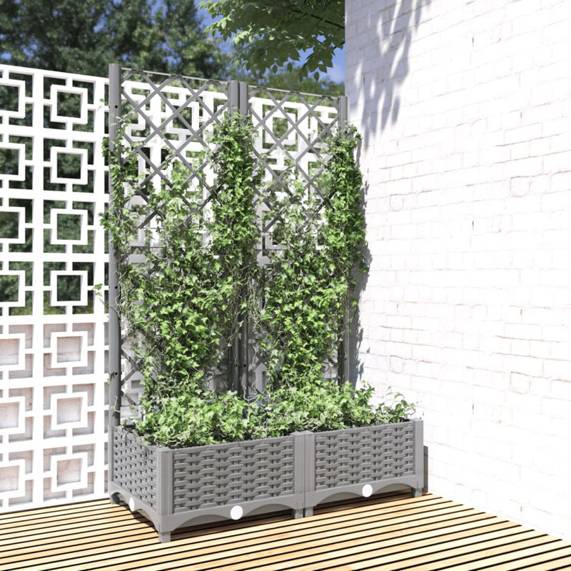 Aunah Raised Garden Bed with Trellis