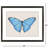 Langport II Framed Art