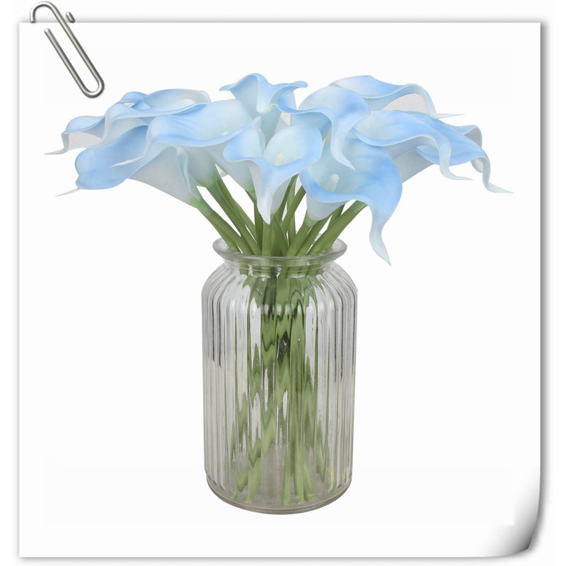 20 pièces de fleurs de lys Calla, Bleu blanchi