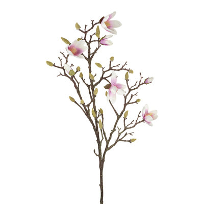 Magnolia Arrangement