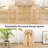 Ismat Counter Stool