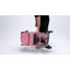 Poussette pliable pour animaux de compagnie, poussette pliante à 3 roulettes pour chats avec auvent et autocollants-101628881