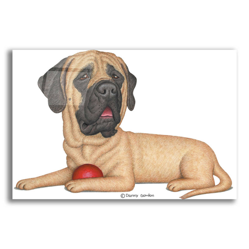 Mastiff Red Ball, H 12 po x l 16 po x P 0,13 po