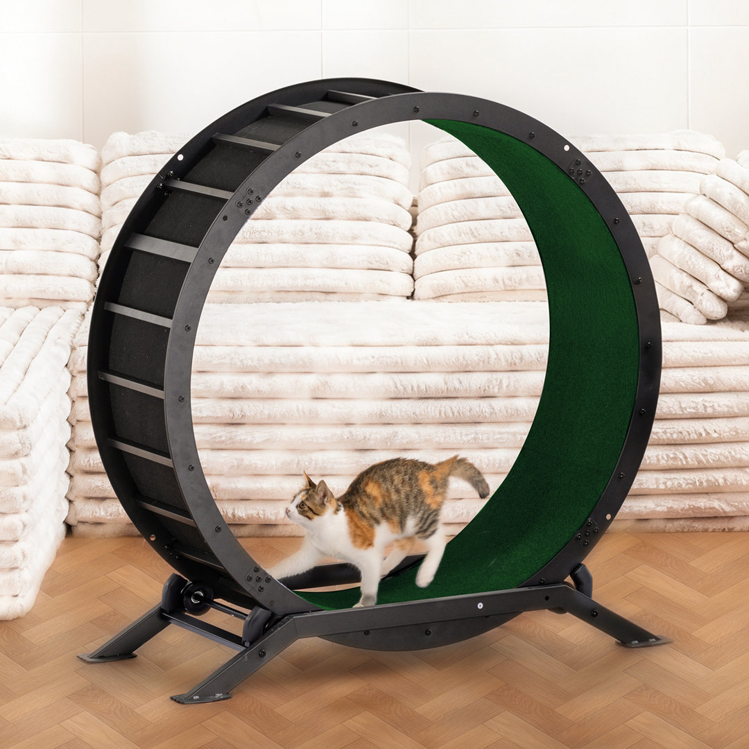 Cat Wheel 90 Cm Metal Large Cats Exercise Running Wheel For Indoor Cats With Teaser Removable Carpet Cat Treadmill
