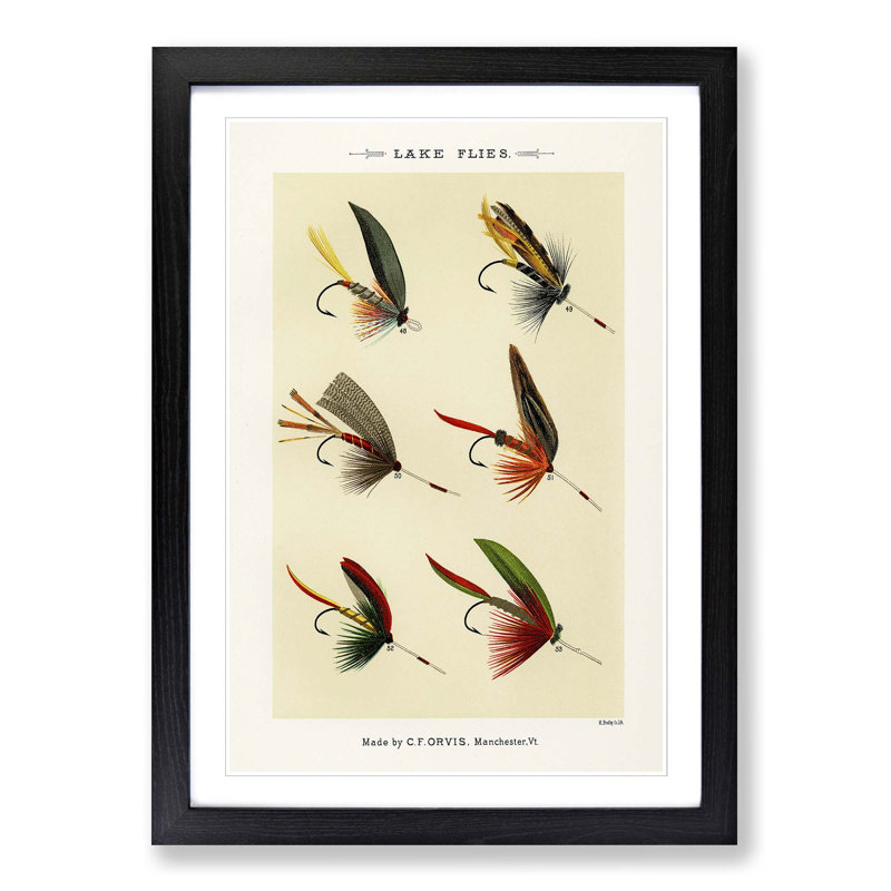 Lake Fishing Flies Version 2 by Mary Orvis Marbury - Picture Frame Painting Print, Black, 50cm H x 35cm W x 2cm D