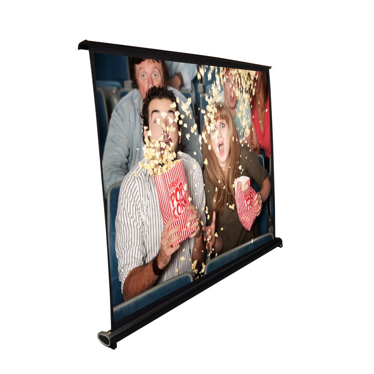 wayfair outdoor projector screen