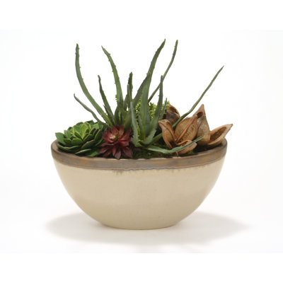 18'' Faux Succulent in Ceramic Pot