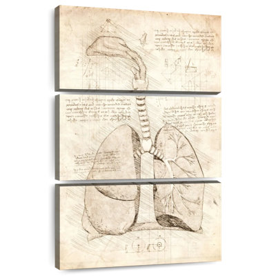 Keiri Human Respiratory System