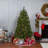 7' Lighted Pine Christmas Tree