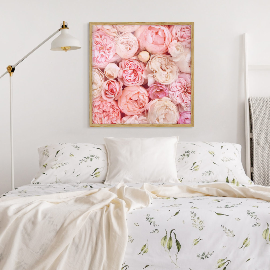 Gerahmter Grafikdruck Roses Coral Shabby