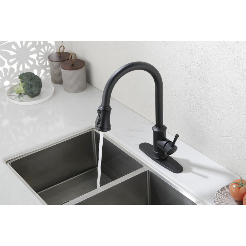 Robinet en acier inoxydable noir mat avec rétractable pour évier de cuisine fonctionnel, finition à poignée simple