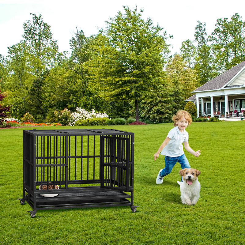 Cage pliante pour chien robuste de 37 pouces avec plateau amovible Assemblage facile pour les petits et les grands chiens